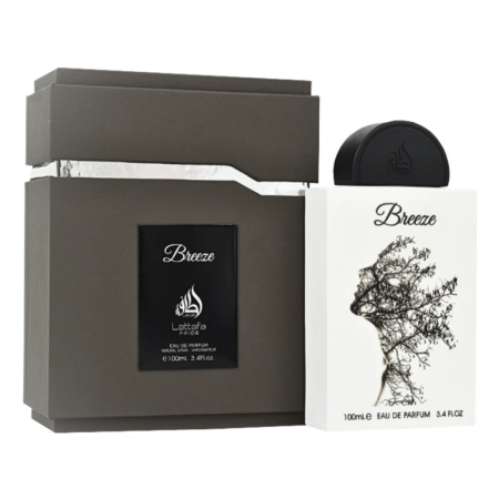 Parfumuri PREMIUM - Breeze 100ml - Apa de Parfum, unisex