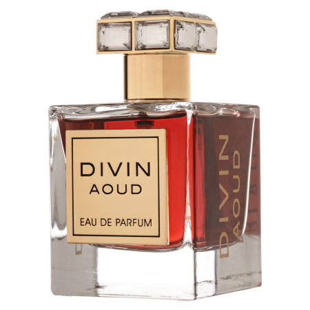 Divin Aoud 100ml - Apa de Parfum, unisex [1]