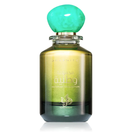 Lichidare de stoc - Graphite 100ml - Apa de Parfum, unisex