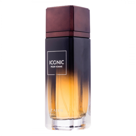 Iconic Pour Homme 100ml - Apa de Parfum, barbati [1]