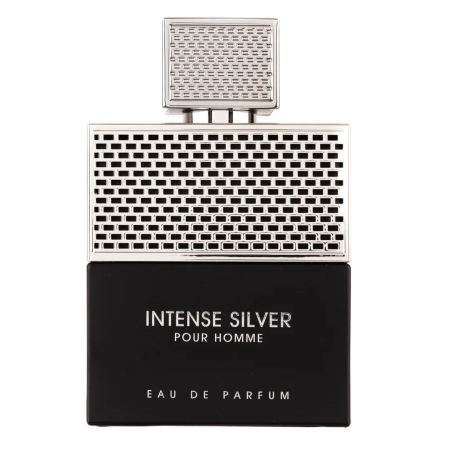 Lichidare de stoc - Intense Silver Pour Homme 100ml - Apa de Parfum, barbati