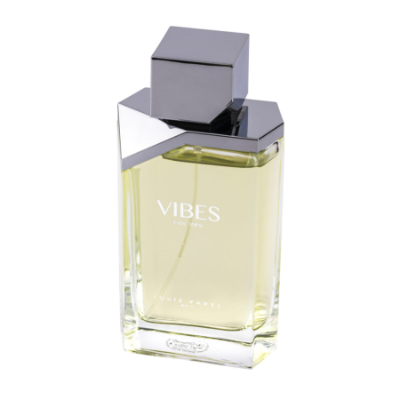 Vibes for Men 100ml - Apa de Toaleta, barbati [2]