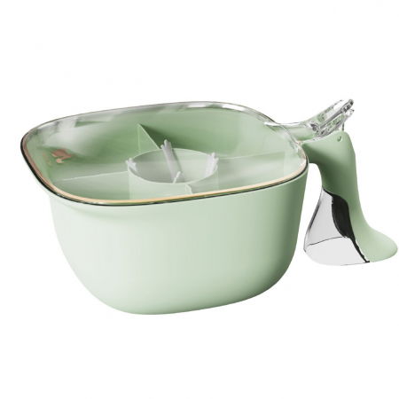 Suporturi si recipiente condimente - Cutie de Depozitare a Condimentelor, Flippy, de Uz Casnic, cu Maner Stabil, cu Capac, 4 Compartimente Principale, 21 x 14 x 10 cm, Verde