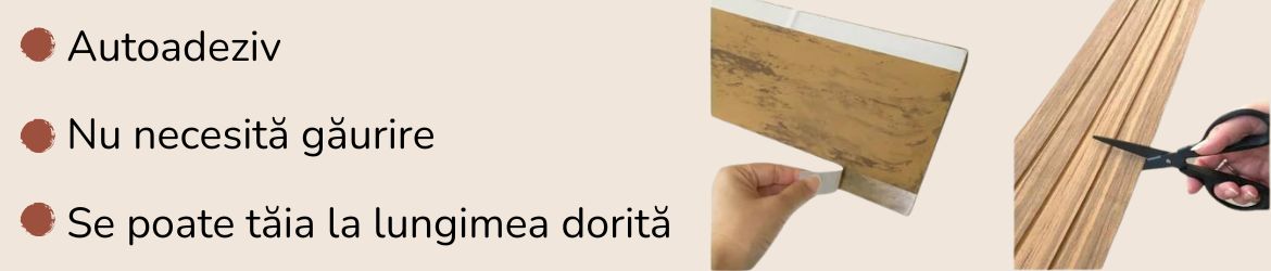 Prag de trecere cu diferenta de nivel