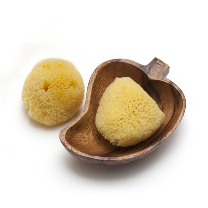 Burete natural de baie Zimocca pentru bebelusi, fara coloranti si aditivi artificiali, Grunspecht 510, 7-8 cm [3]