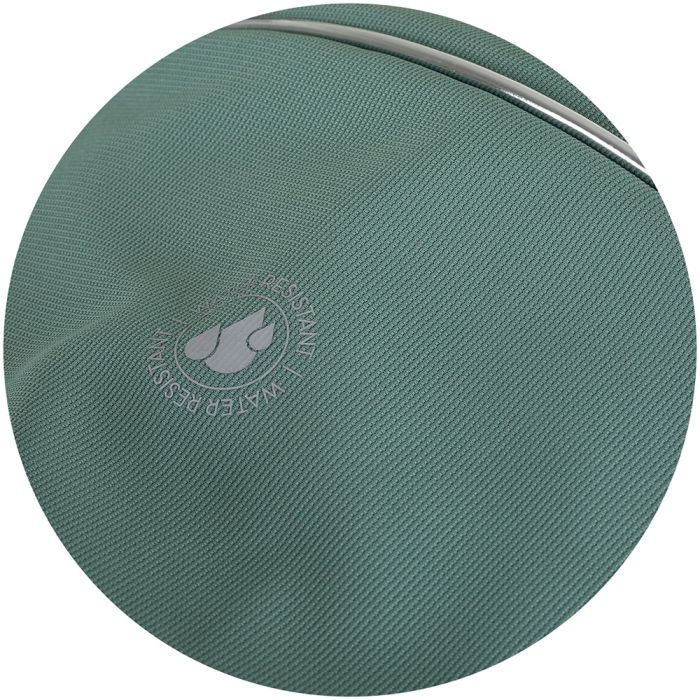Carucior sport Chipolino Move On pastel green [11]