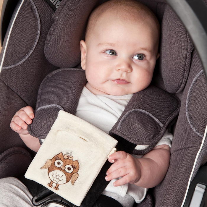 Pernuta termica anticolici cu seminte de in BIO, husa detasabila lavabila, bufnita, Gruenspecht 603-V2 [7]