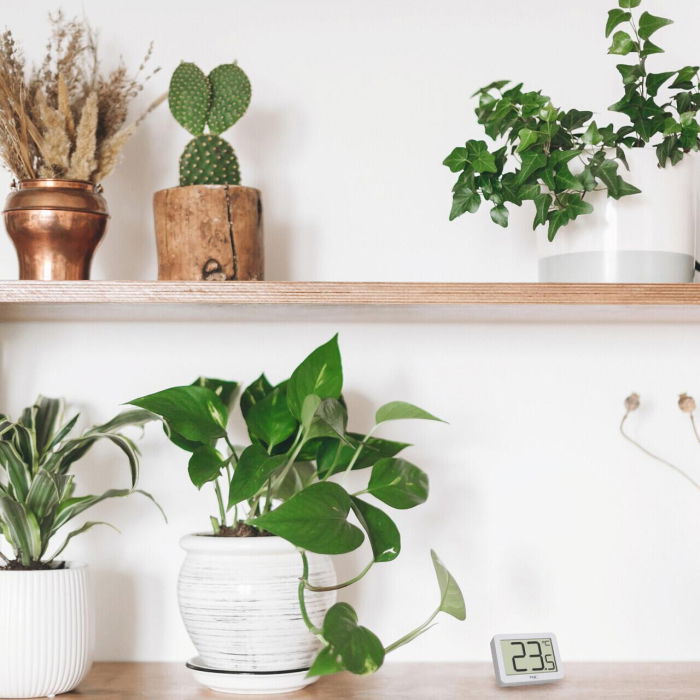 Termometru digital de camera, cu suport magnetic, alb, TFA 30.1065.02 [3]