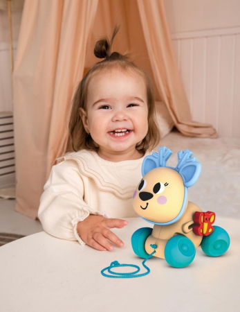 CAPRIOARA, JUCARIE DE TRAS [4]