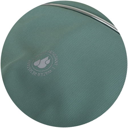 Carucior sport Chipolino Move On pastel green [10]