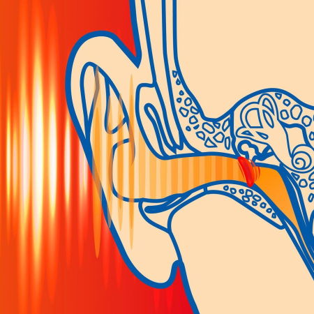 Dopuri de urechi pentru copii, pentru protectia auzului impotriva zgomotului, 3 ani+, SNR 33dB, 12 bucati, spuma, portocaliu, SANOHRA Max Kids [2]