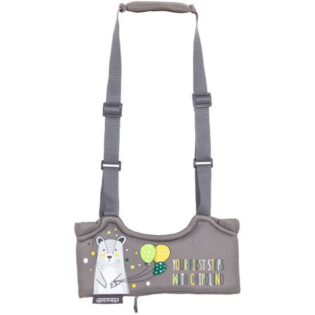Sisteme De Siguranță Copii - Ham pentru copii Chipolino 1st Steps glacier