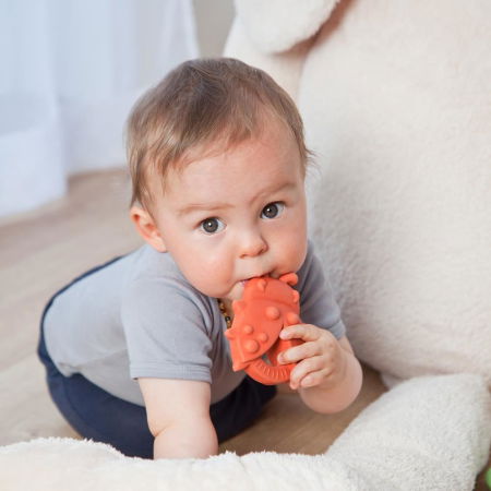 Jucarie organica pentru dentitie, din cauciuc natural, Gargarita, Grunspecht 681-00 [3]