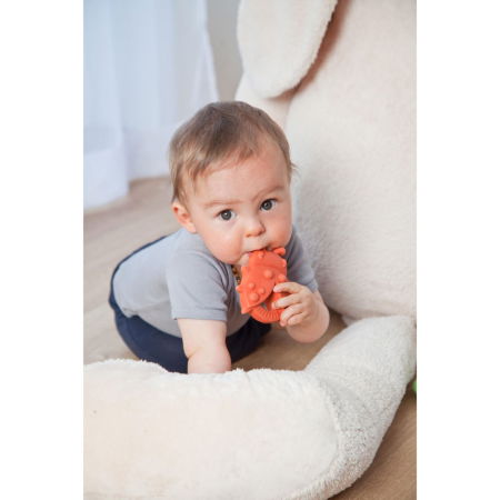 Jucarie organica pentru dentitie, din cauciuc natural, Gargarita, Grunspecht 681-00 [1]