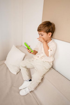 JUCARIE-TELEFONUL INTELIGENT [12]