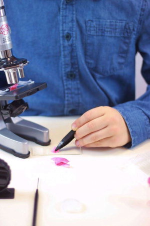 Microscop pentru copii cu 30 experimente - Set stiinta [3]