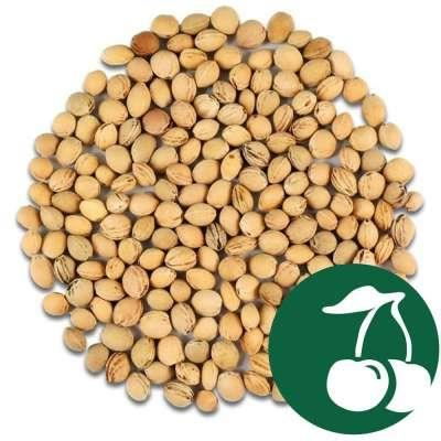 Pernuta termica anticolici cu samburi de cirese si husa din bumbac, pentru bebelusi, 16 x 16 cm, Gruenspecht 112-V3 [2]