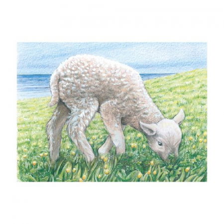 Puzzle de lemn, tip cuburi, copii 3 ani+ [6]