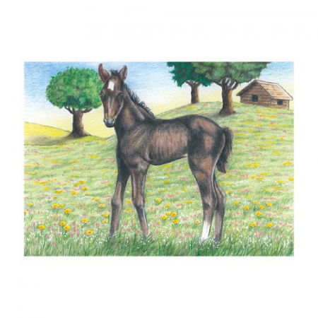 Puzzle de lemn, tip cuburi, copii 3 ani+ [3]