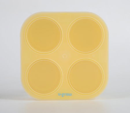 Recipient colapsibil din silicon stocare hrana 4 compartimente, 240 ml, U-Grow [2]