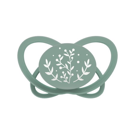 Set 2 suzete nip My Butterfly cu tetina ortodontica din silicon, forma simetrica, din materiale naturale regenerabile, fara BPA, cutie de transport si sterilizare, 5-18 luni, verde, nip My Butterfly G [2]