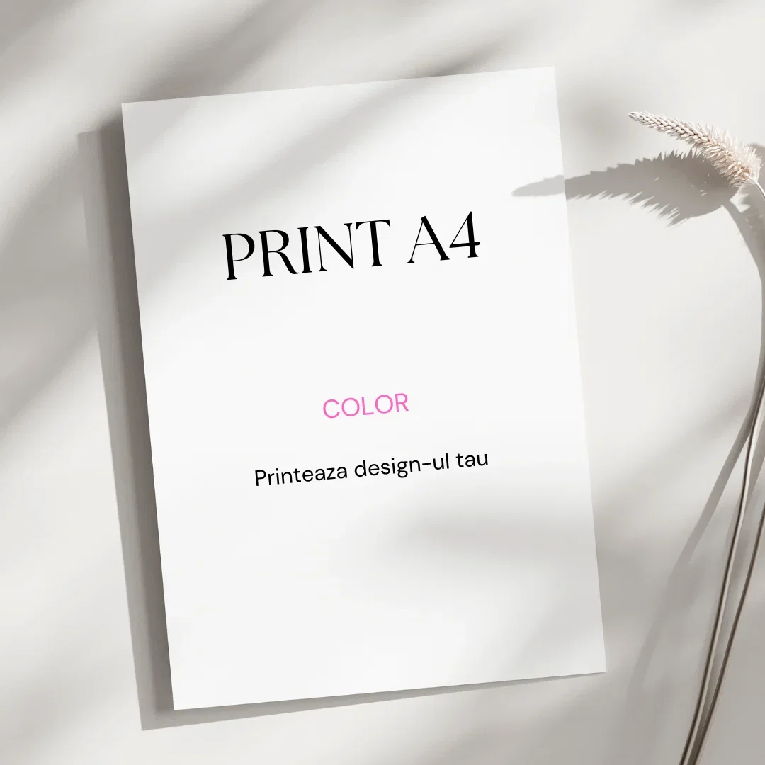 🖨️ PRINT & EXECUȚIE