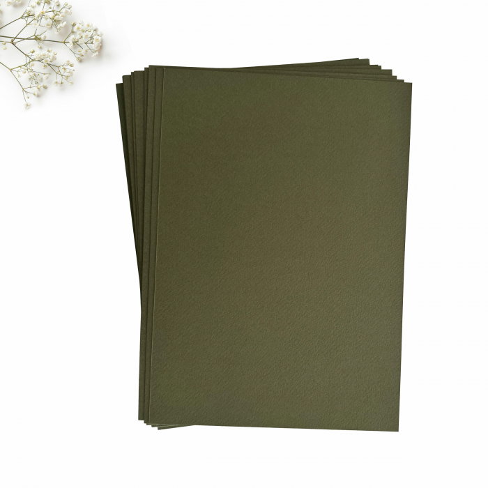 Carton invitatii nunta verde wasabi [2]