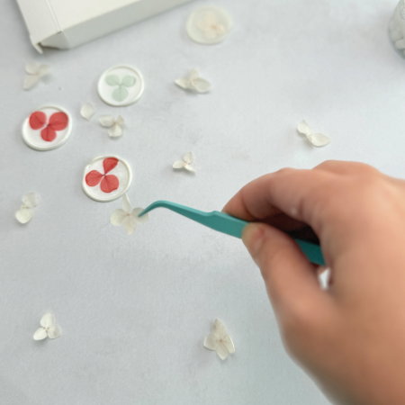 Penseta albastra pentru sigilii [2]