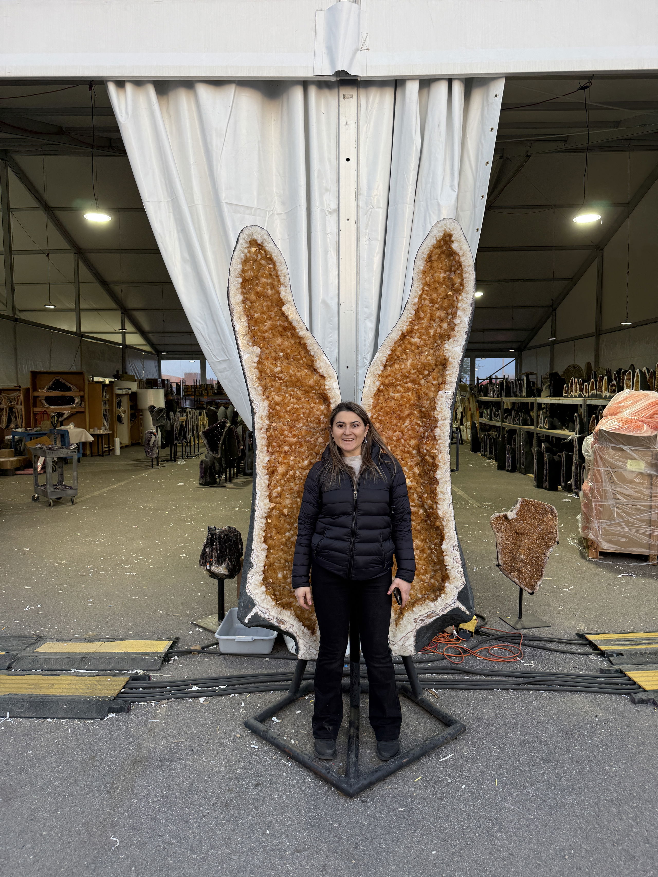 Simona în fața aripilor din Citrin