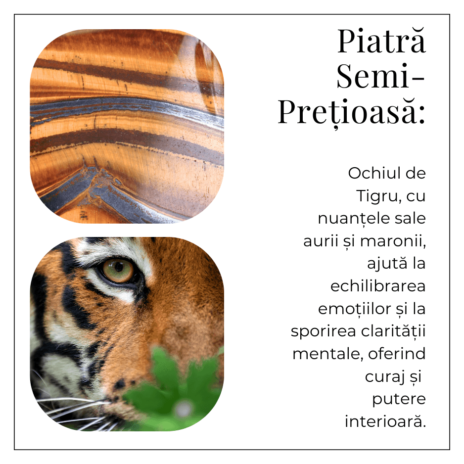 Bratara Elastica cu Margele 4 mm din Ochi de Tigru – Protectie si incredere [6]