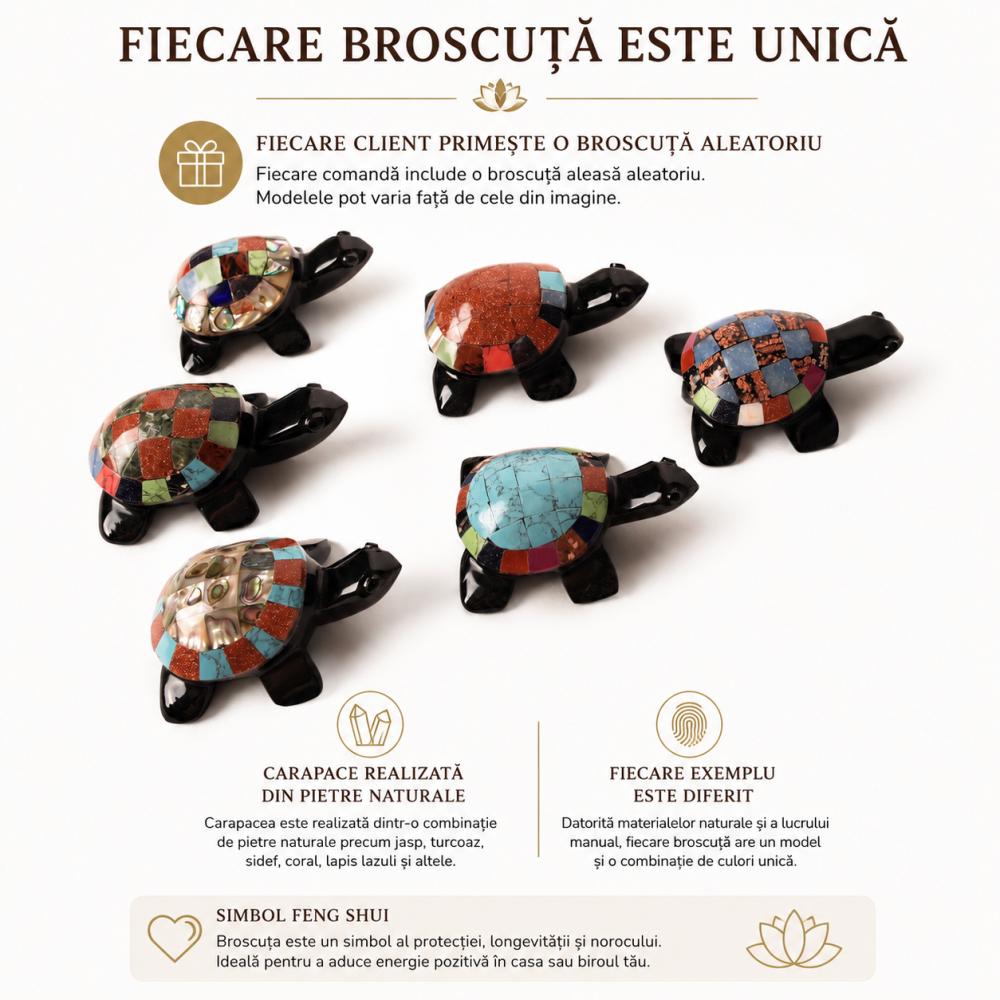 Broscuta Feng Shui din Obsidian Negru Mexican cu Pietre Naturale – Protectie si Noroc [5]