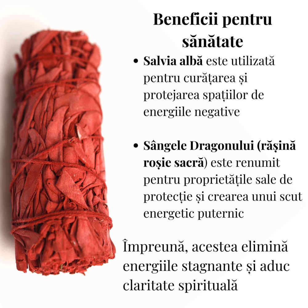 Buchet Salvie Alba California cu Sangele Dragonului - Protectie si Putere Energetica [3]