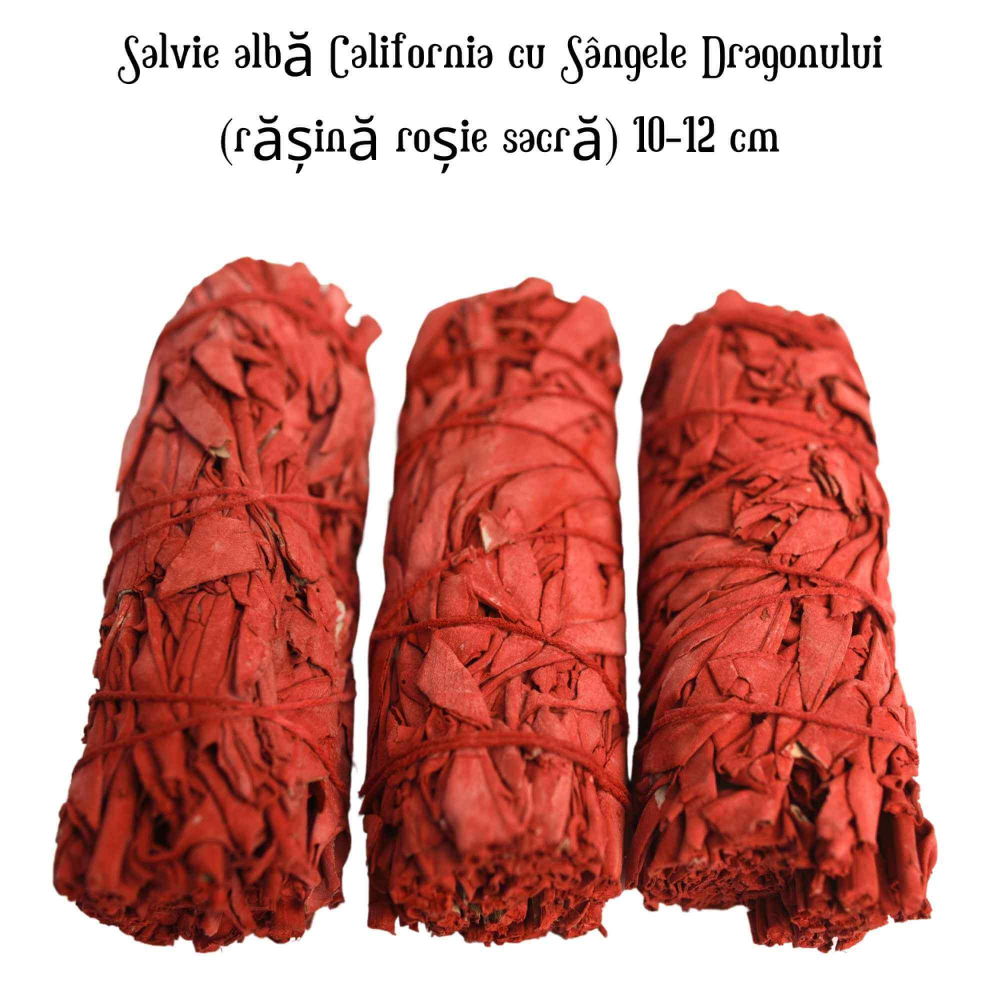 Buchet Salvie Alba California cu Sangele Dragonului - Protectie si Putere Energetica [4]