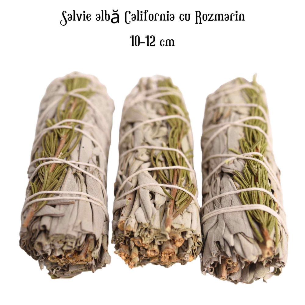 Buchet Salvie Alba California cu Rozmarin - Claritate si Protectie Energetica [4]