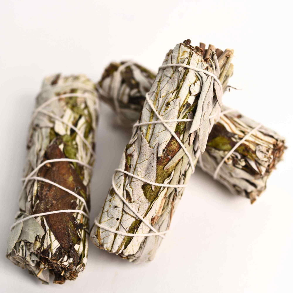 Buchet Salvie Alba California cu Iarba Sfanta - Purificare si Vindecare [3]