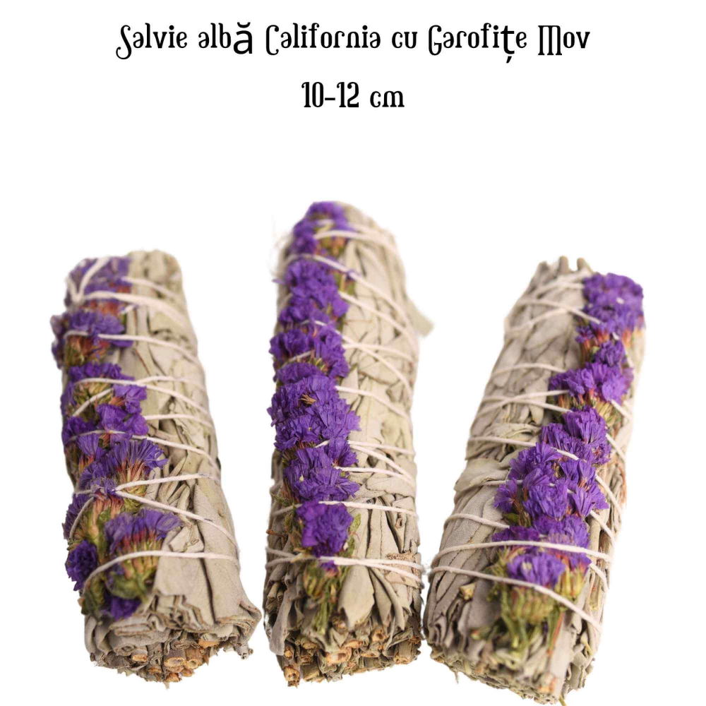 Buchet Salvie Alba California cu Grofite Mov / Sinuata - Echilibru si Claritate [4]