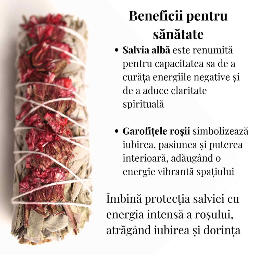 Buchet Salvie Alba California cu Garofite Rosii - Pasiune si Protectie [3]
