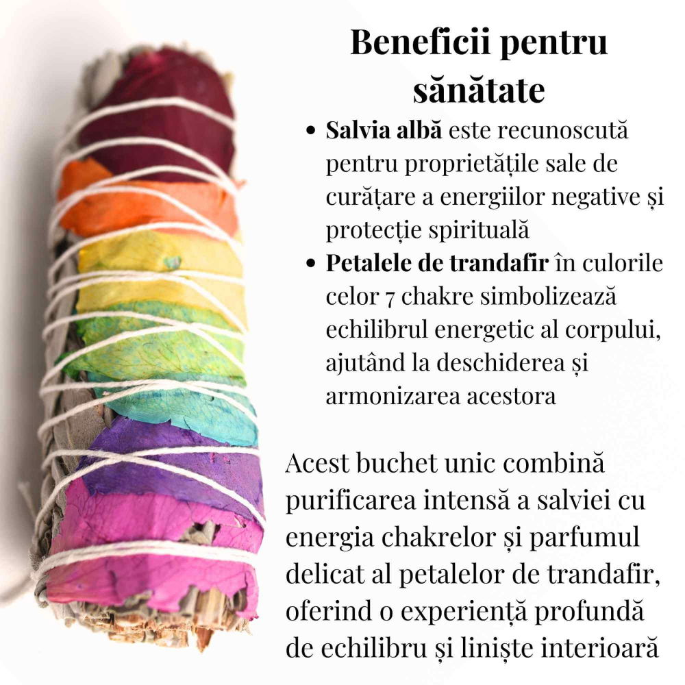 Buchet Salvie Alba California cu 7 Chakre - Echilibru si Vindecare [3]