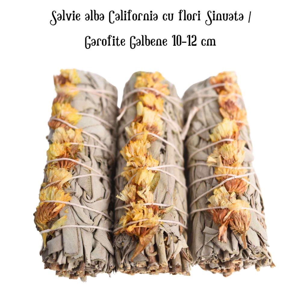 Buchet Salvie Alba California cu Garofite Galbene/Sinuata - Energie Pozitiva si Claritate [4]