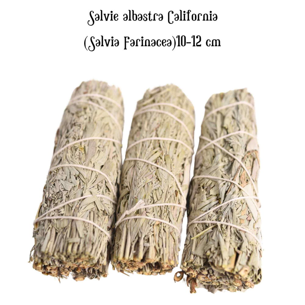 Buchet Salvie Albastra California - Protectie si Claritate Mentala [4]