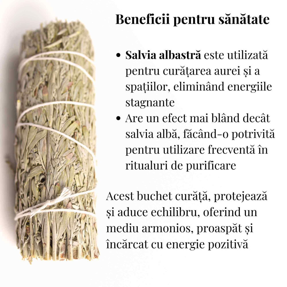 Buchet Salvie Albastra California - Protectie si Claritate Mentala [3]