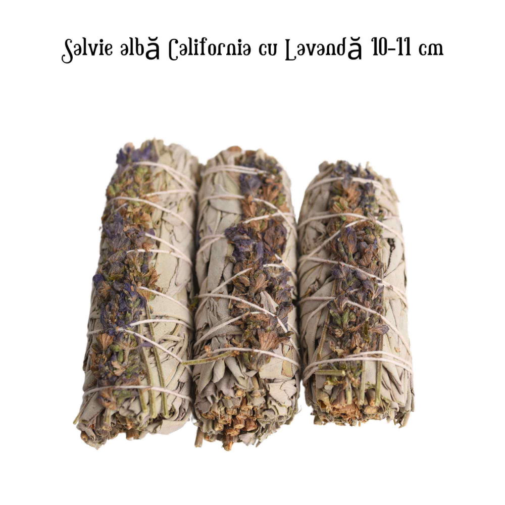 Buchet Salvie Alba California cu Lavanda 10-11 cm- Pacea si Purificarea [4]