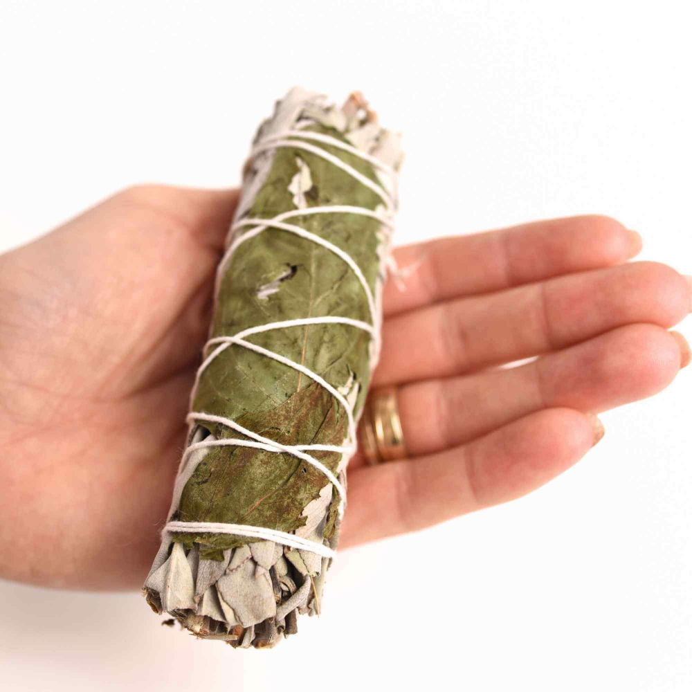 Buchet Salvie Alba California cu Busuioc - Purificare si Armonie Energetica [5]