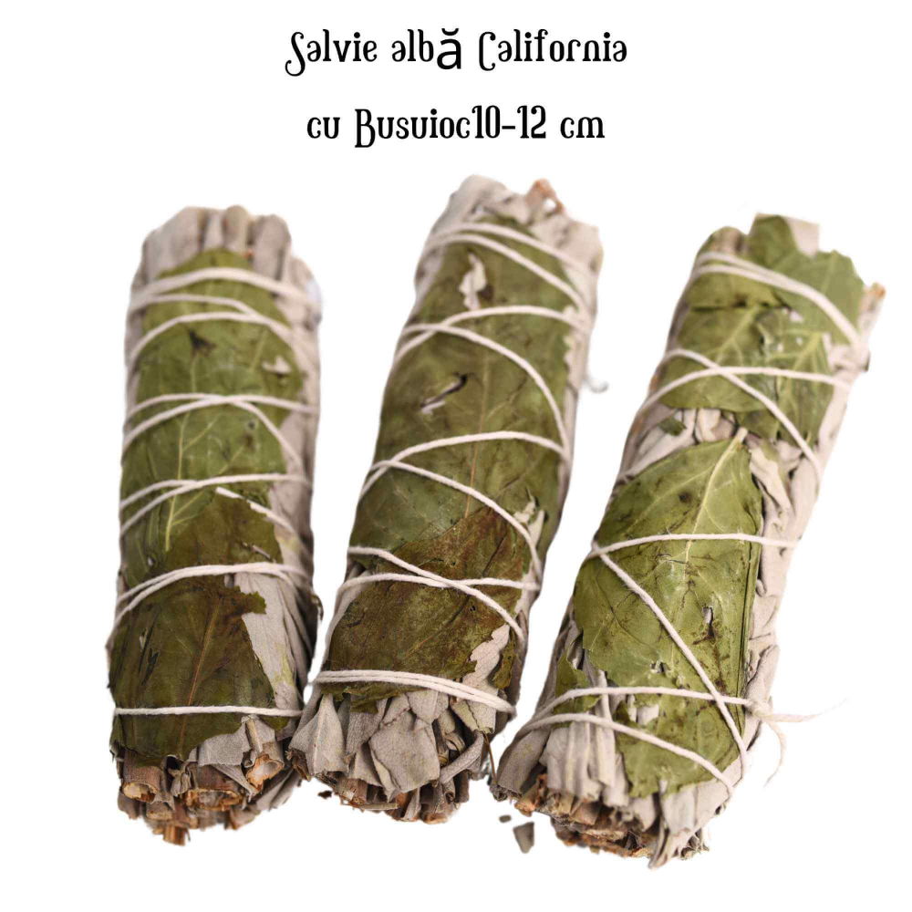 Buchet Salvie Alba California cu Busuioc - Purificare si Armonie Energetica [6]