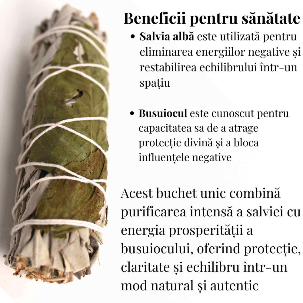 Buchet Salvie Alba California cu Busuioc - Purificare si Armonie Energetica [3]