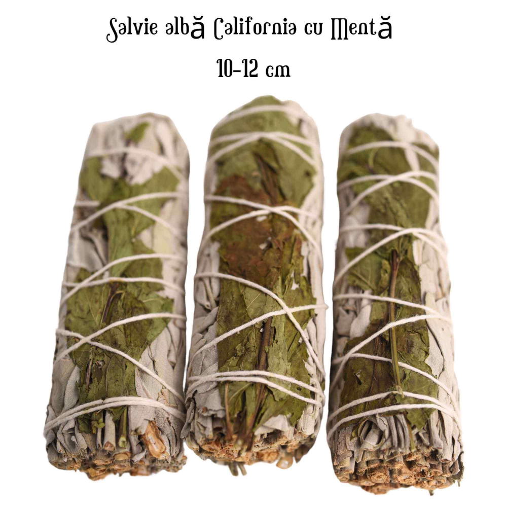 Buchet Salvie Alba California cu Menta - Purificare si Revitalizare [4]