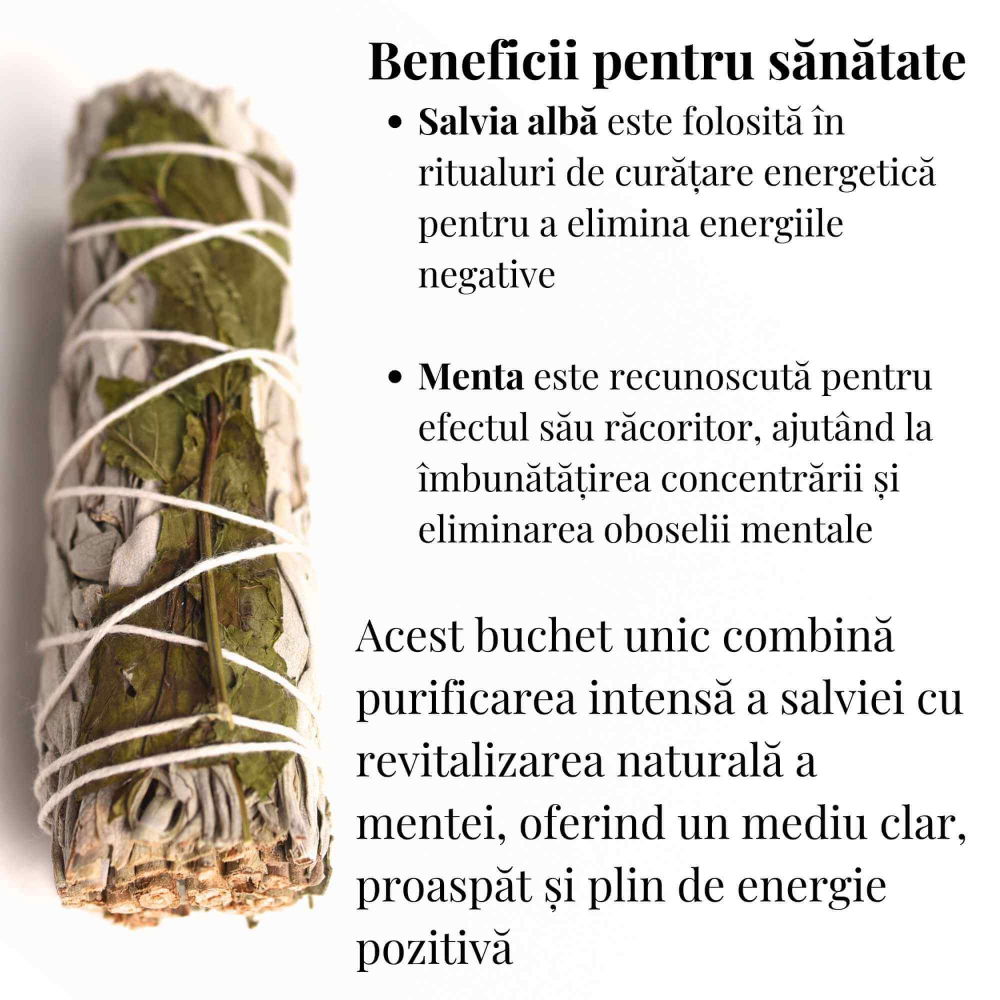 Buchet Salvie Alba California cu Menta - Purificare si Revitalizare [3]