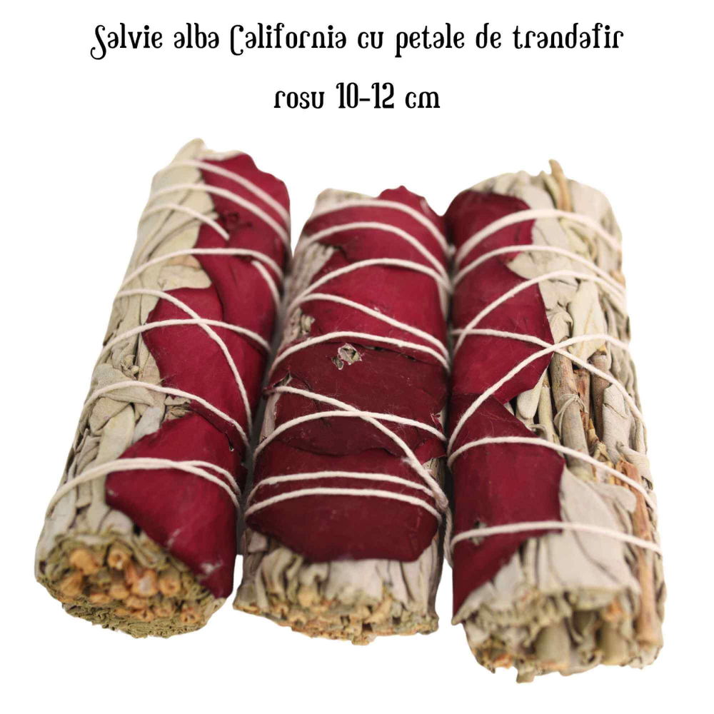 Buchet Salvie Alba California cu Petale de Trandafir Rosu – Purificare si Iubire [4]