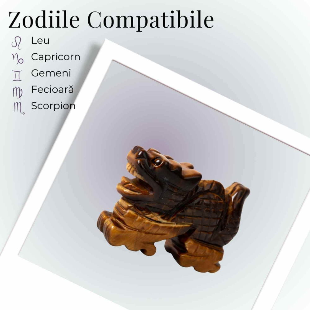 Dragon Energetic din Ochi de Tigru – Stabilitate si Forta Interioara [5]