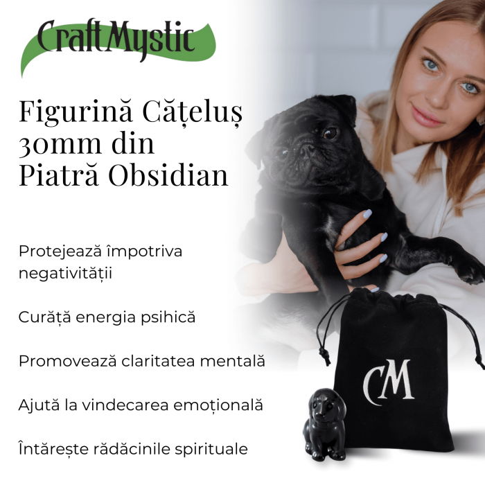 Figurina Artizanala 30mm Catelus din Obsidian [5]